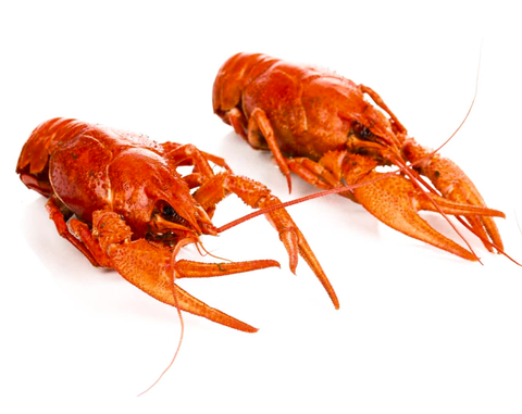 Варка раков 