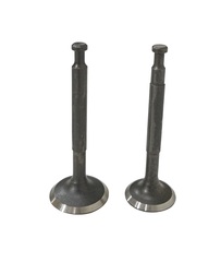 Клапаны (пара) LC152F/500550026-0001