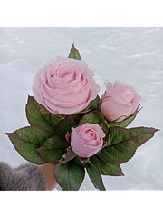 Молд для творчества 