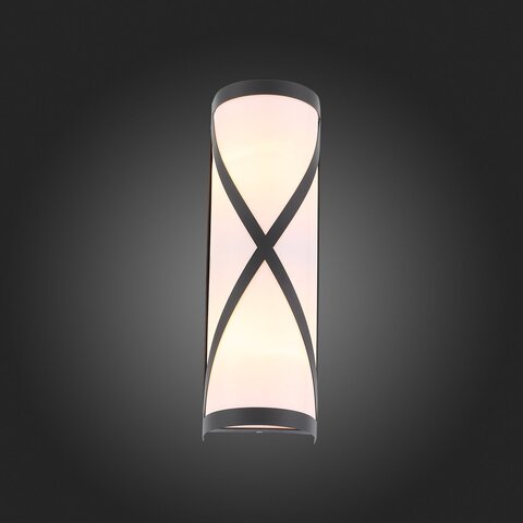 Светильник уличный ST Luce Agio SL076.411.01