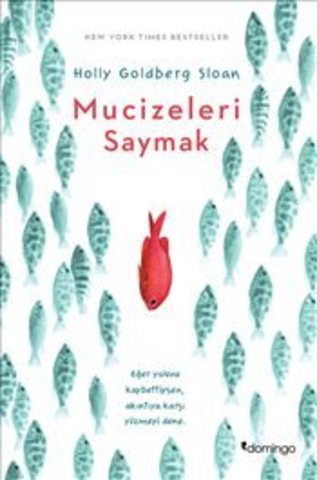 Mucizeleri Saymak