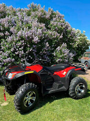 Квадроцикл GreenCamel Сахара A14К 4x4 Monster