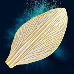 Молд пластиковый 