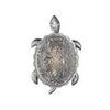 Светильник настенный Favourite Turtle 2255-1W