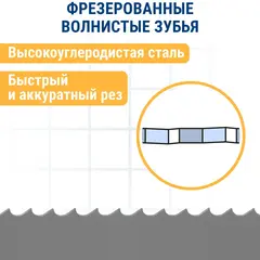 Пилки для сабельной пилы по дереву, ДСП ПРАКТИКА S1617K HCS, шаг 8 мм, длина 300 мм, 2 шт (773-545)
