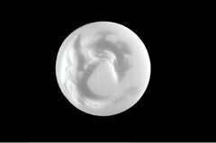 Силиконовый молд Дракон 077