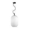 Подвесной светильник Odeon Light Roofi 4752/1