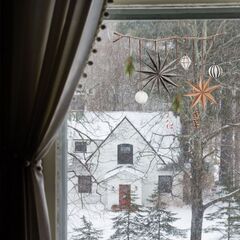 Сканди веточка