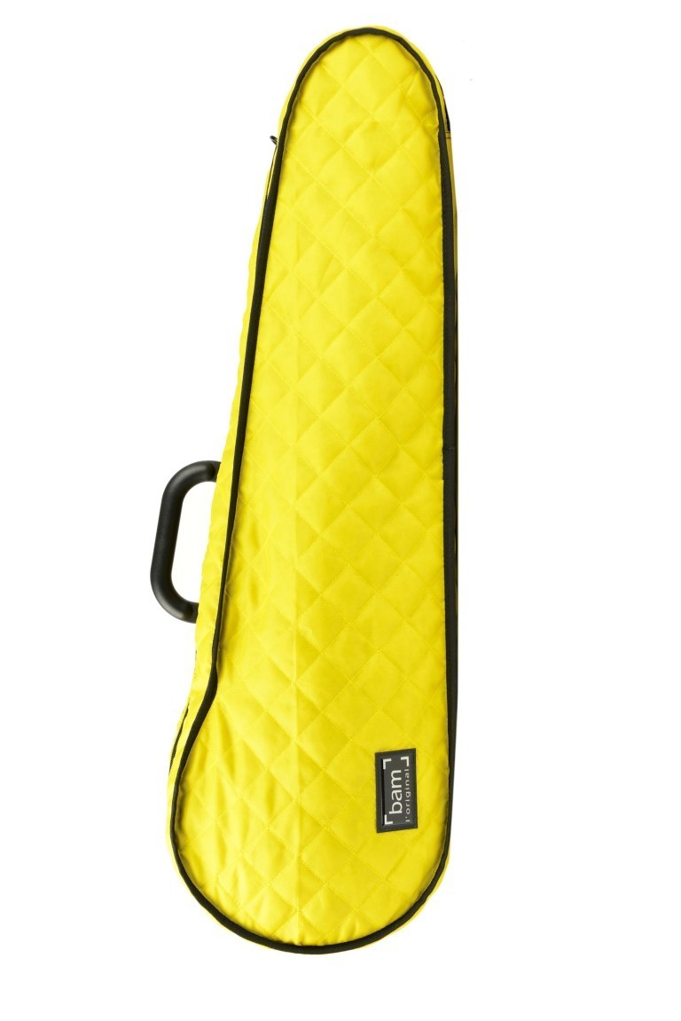 Ho cases