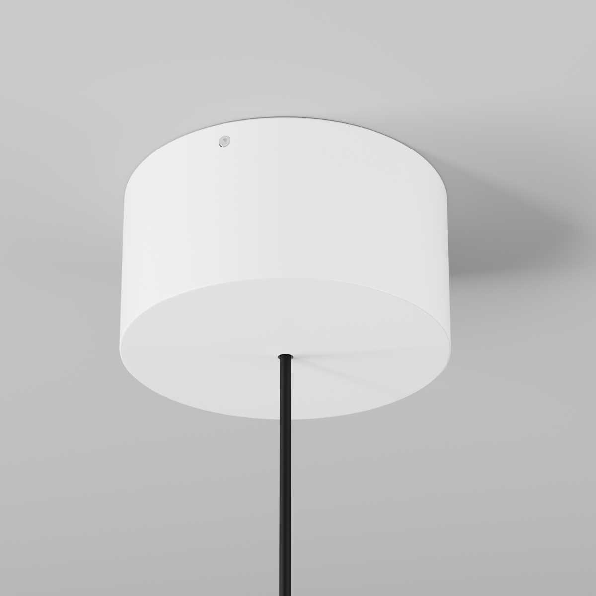 Подвесной светильник Maytoni Outdoor O491PL-L6W3K