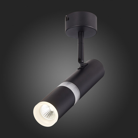 Светильник потолочный ST Luce ST106.442.08
