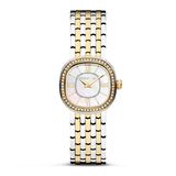 CERRUTI 1881 CIWLG0008604-1