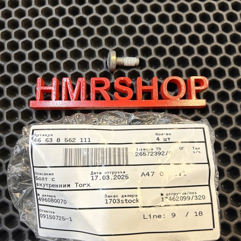 BMW Болт с внутренним Torx 46 63 8 562 111