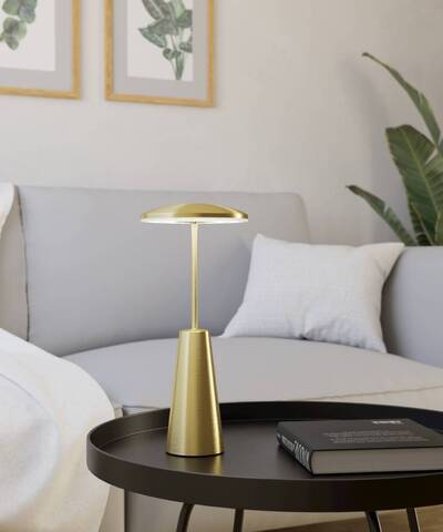 Аккумуляторная настольная лампа Eglo PICCOLA 900923