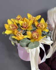 Композиция с 7 орхидеями