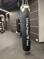 Боксерский мешок TOTALFIGHT THAI