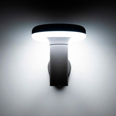 Уличный настенный светодиодный светильник Citilux CLU01W