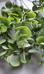 Искусственная зелень эвкалипт цветной, 5 веток, 32-35 см.