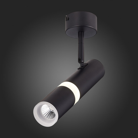 Светильник потолочный ST Luce ST106.442.08