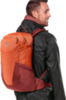 Картинка рюкзак туристический Deuter Futura 23 Paprika-Redwood - 6