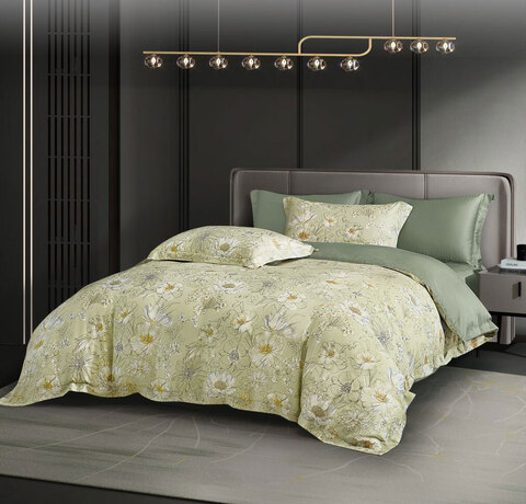 Постельное белье 2 спальное евро Asabella 2047-6