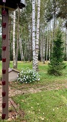 Дождевая цепь 