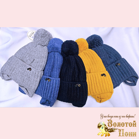Шапка на хлопке м (3-5) 251019-Ш4058