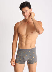 Мужские боксеры E25K-81B101