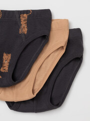 набор трусы/ уп  для мальчика  К 1928-3уп/итальянский песок,темно-серый,тигры Ал