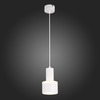 Светильник подвесной ST Luce ST102.543.12