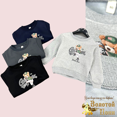 Толстовка утепленная м (2-6) 240830-TM2396