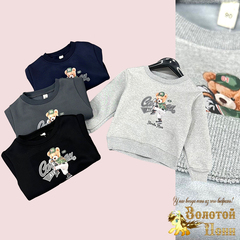 Толстовка утепленная м (2-6) 240830-TM2396
