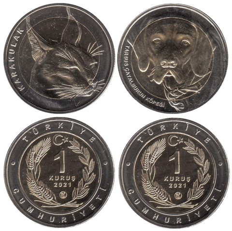 Набор из 2 монет 1 куруш 2021 год. Каракал и Каталбурун (турецкая гончая) Турция