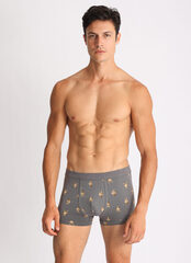 Мужские боксеры E25K-81B101