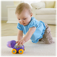 Mattel Fisher Price Зверюшка с прыгающими шариками (в ассортименте) (BGX29)