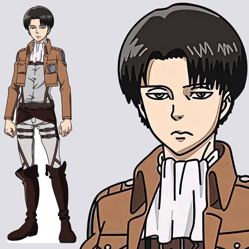 Levi 5 top