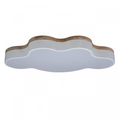 Потолочный светодиодный светильник Loft It Axel 10005/36 White