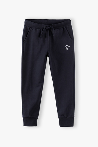 Брюки LINCOLN & SHARKS