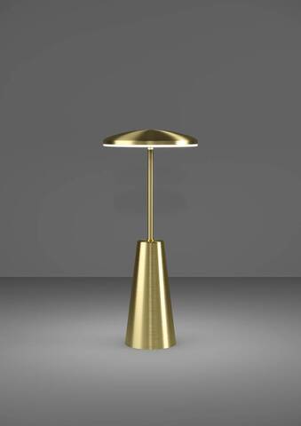 Аккумуляторная настольная лампа Eglo PICCOLA 900923