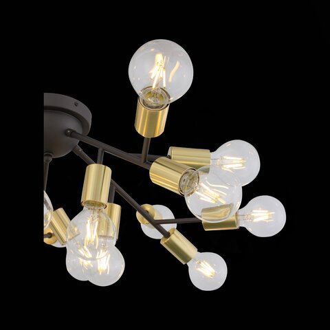 Люстра потолочная ST Luce Foglione SL437.402.20