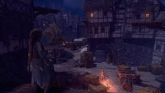 Shadwen (для ПК, цифровой код доступа)