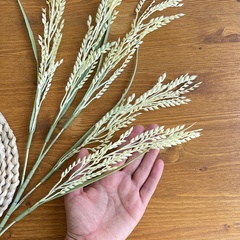 Колосья пшеницы, искусственная зелень, цвет светлый-кремовый, ветка 80 см, 1 ветка
