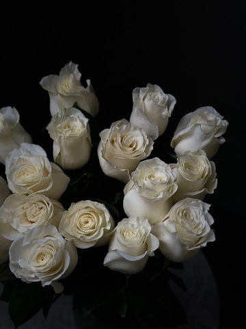 Розы поштучно «Mondial» (Эквадор)