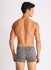 Мужские боксеры E25K-81B101