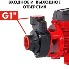 Насос садовый QUATTRO ELEMENTI Giardino 401 Ci (400 Вт, 2100 л/ч, для чистой, 32 м, 4,6 кг) (910-119)