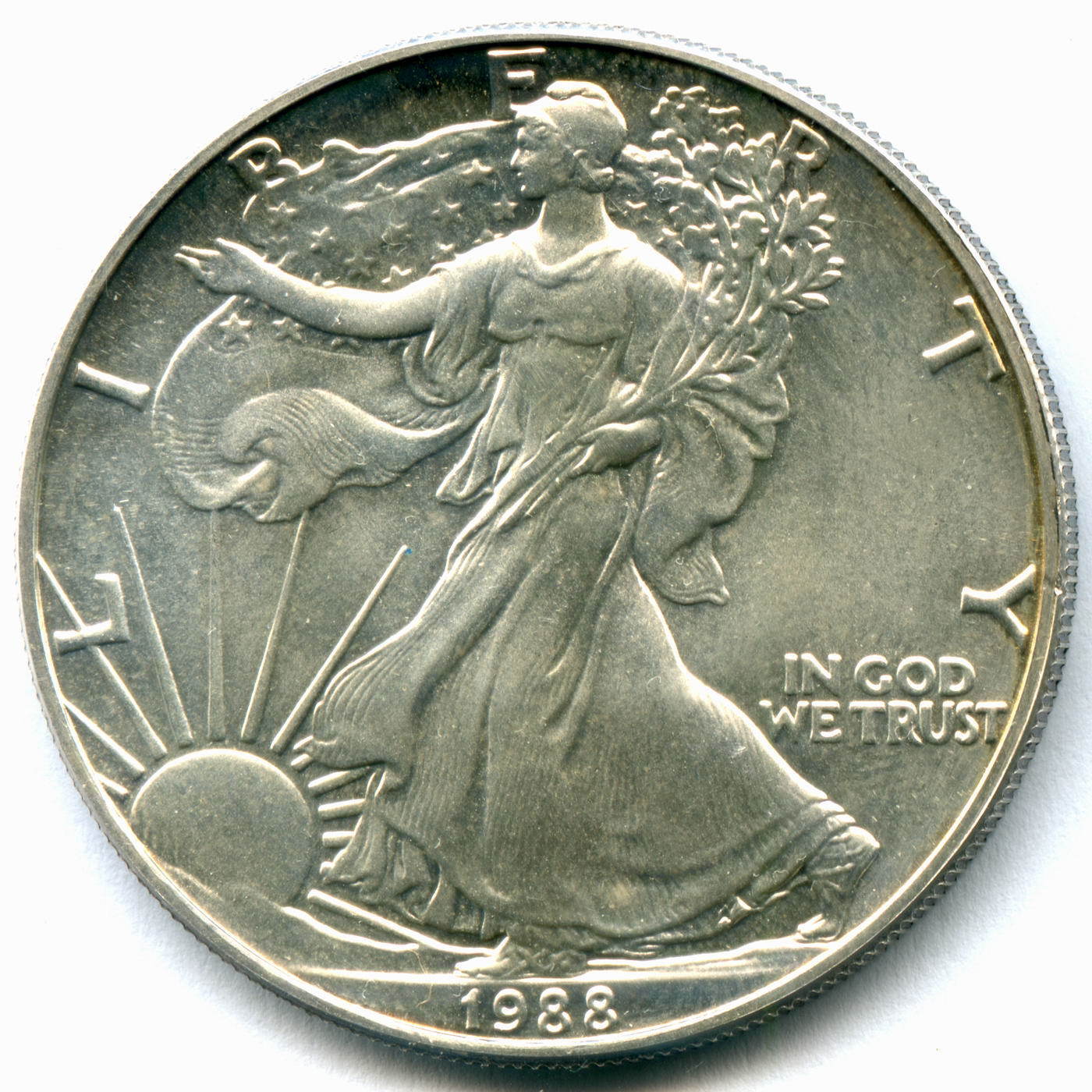 Шагающая Свобода 1 доллар США серебро. Монеты США 1787 2021 годов. 1 Доллар США 1995 серебро шагающая Свобода. Монета США серебро 1 доллар 2007 Свобода идущая цветная.