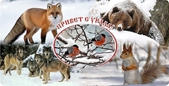 Кружка Урал №0043 Зимний коллаж животные, снегири в центре
