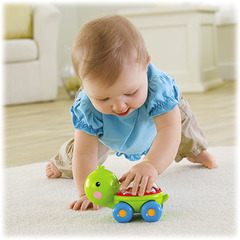 Mattel Fisher Price Зверюшка с прыгающими шариками (в ассортименте) (BGX29)