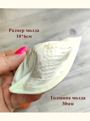 Молд+Вайнер лист 10х6см 