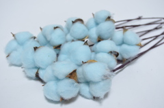 Хлопок одинарный 10 шт. Голубой